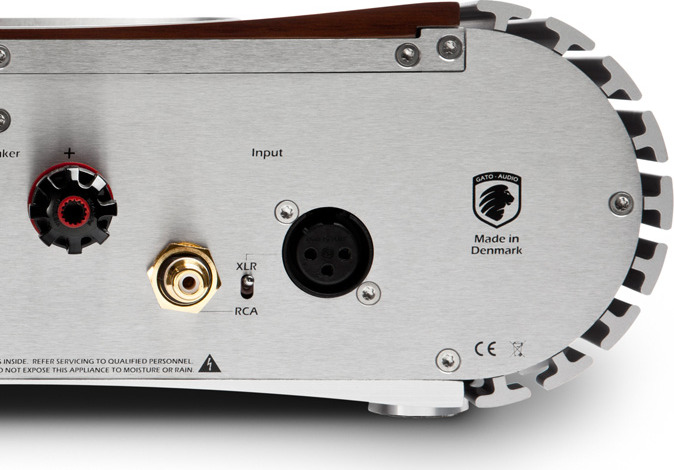 PWR-222 High End Mono Power Amplifier